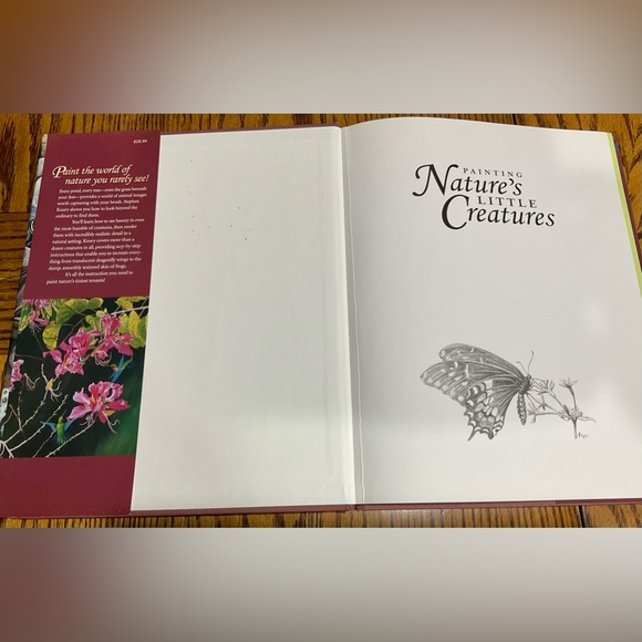 Painting Nature’s Little Creatures & Butterflies, Bugs & Worms BOOKS set - Picture 5 of 13